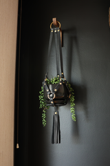 The Little Plant Hanger