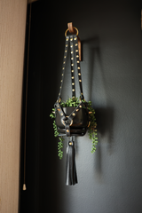 The Spiked Little Plant Hanger