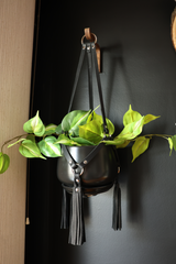 The Plant Hanger