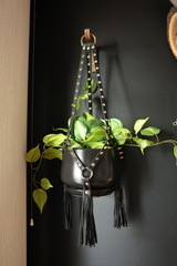 The Spiked Plant Hanger