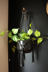 The Spiked Plant Hanger