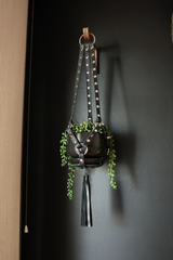 The Spiked Little Plant Hanger
