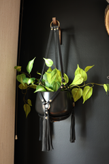 The Plant Hanger